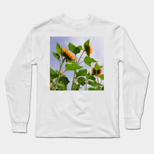 Sunflowers in the Field Long Sleeve T-Shirt